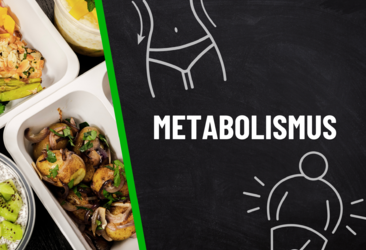 Metabolismus