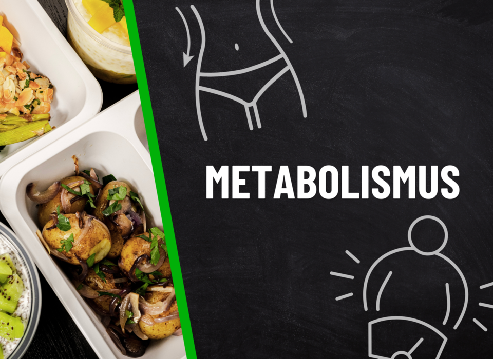 Metabolismus